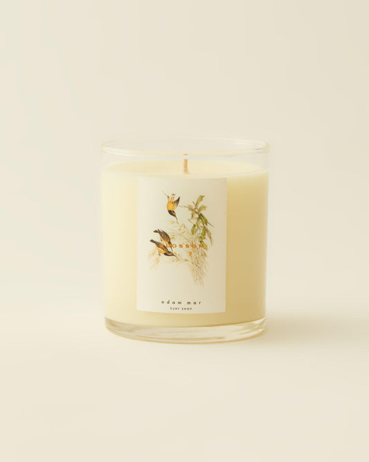 Candles - ( blossom )