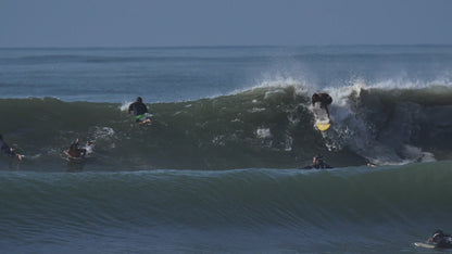 Derrick Disney - Twinzr Fish ( 5'9 )