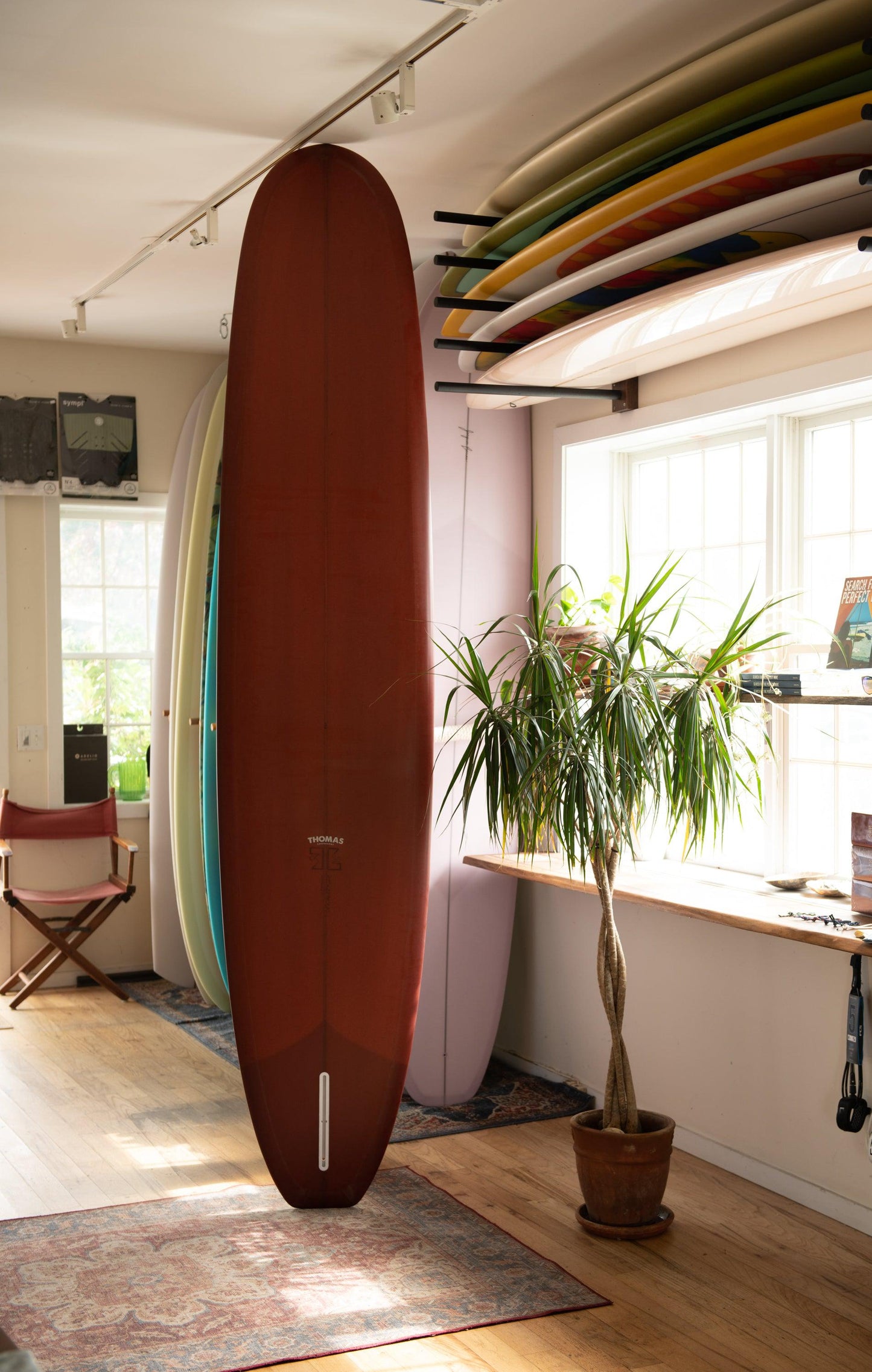 Thomas Surfboards - Malibu ( 9'6 )- rental